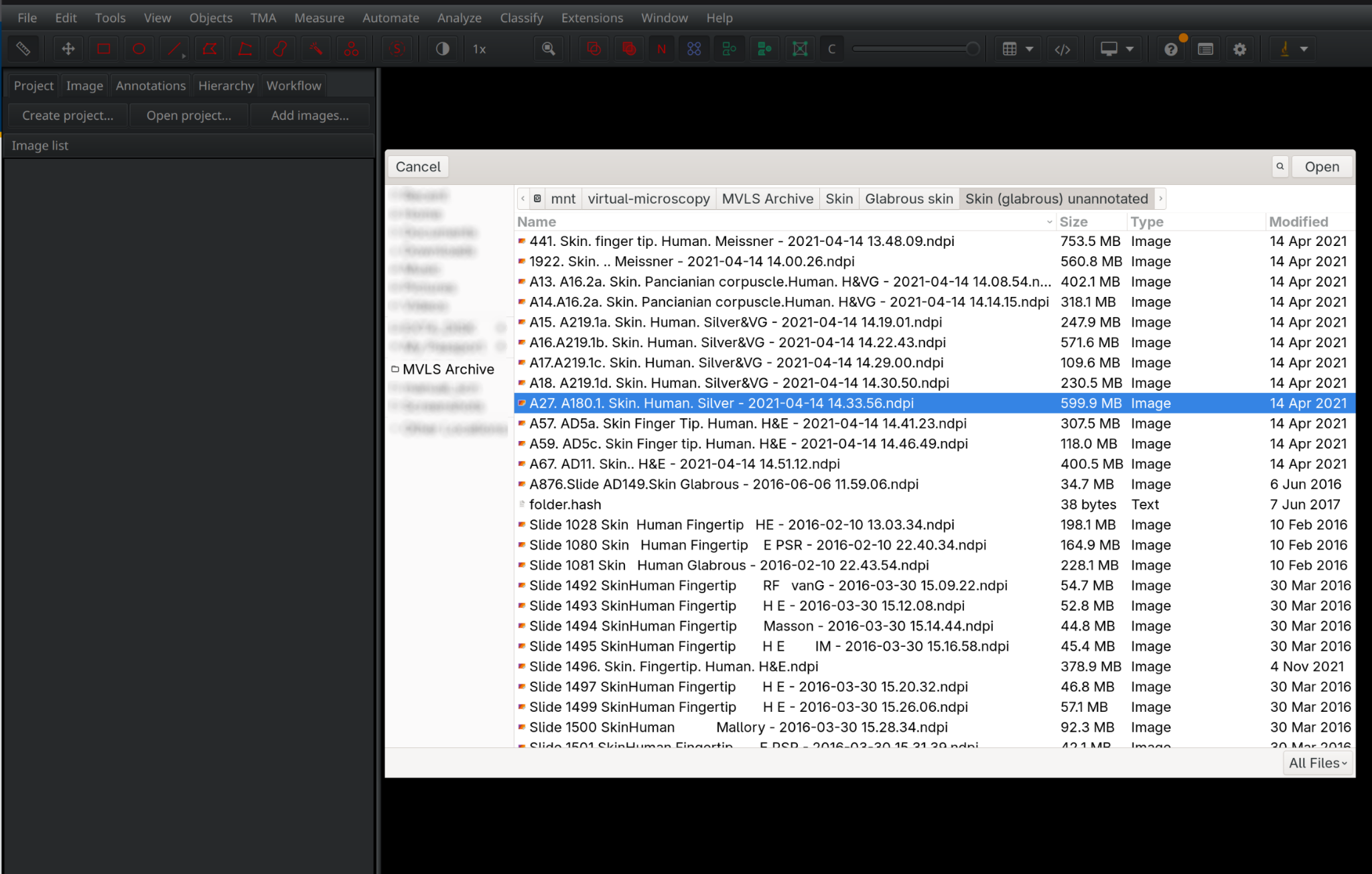 QuPath opening a slide file